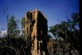 0163KM 73854 03APR03 Australien Litchfield National Park Northern Territories.jpg